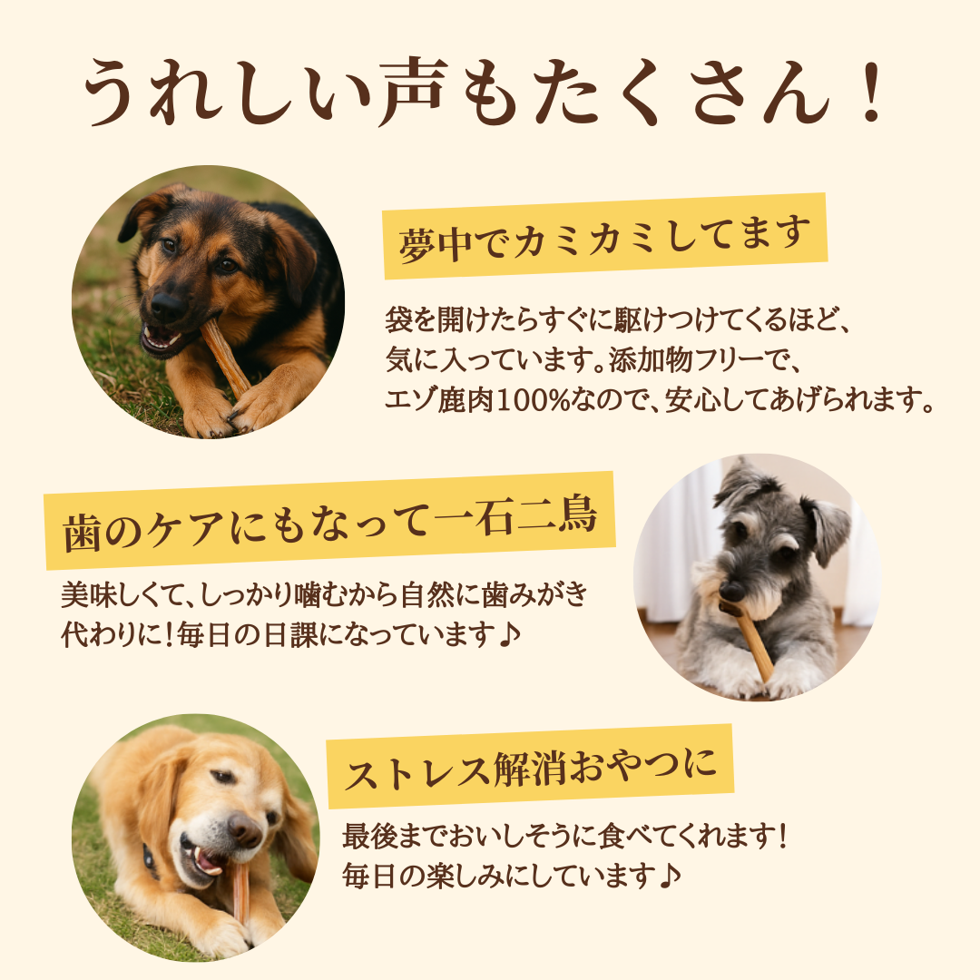 *限定* エゾ鹿 アキレス 2本入 手作り天然無添加