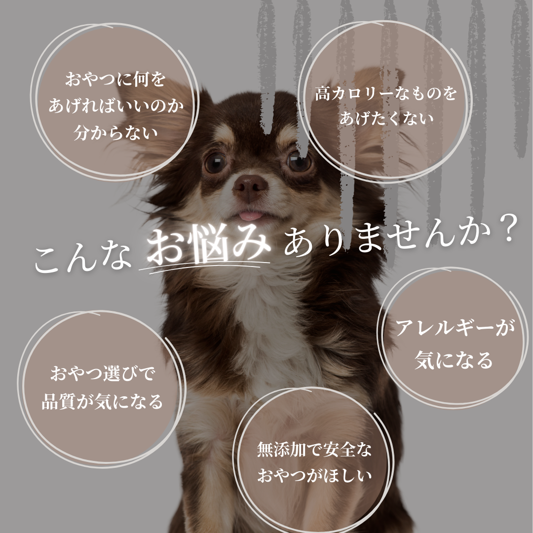 ＊限定＊ エゾ鹿 アキレス 2本入 手作り天然無添加