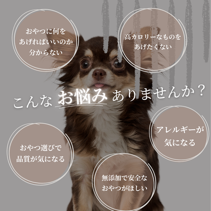＊限定＊ エゾ鹿 アキレス 2本入 手作り天然無添加