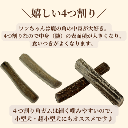 【犬用：4つ割り】エゾ鹿の角ガム ４つ割り×2本セット 小型犬用 手作り天然無添加