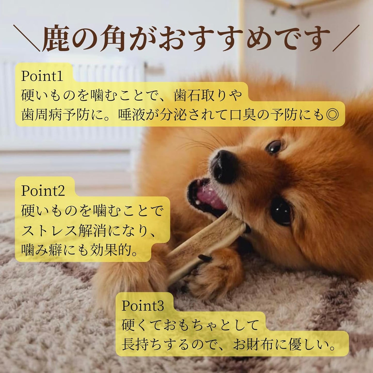 【犬用：4つ割り】エゾ鹿の角ガム ４つ割り×2本セット 小型犬用 手作り天然無添加