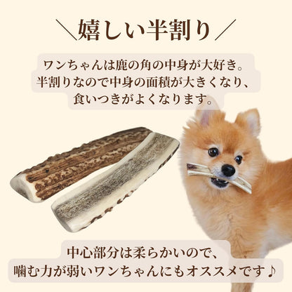 【犬用：半割り】エゾ鹿の角ガム 半割り×2本セット＜3サイズ＞手作り天然無添加