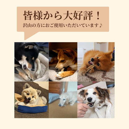 【犬用：4つ割り】エゾ鹿の角ガム ４つ割り×2本セット 小型犬用 手作り天然無添加