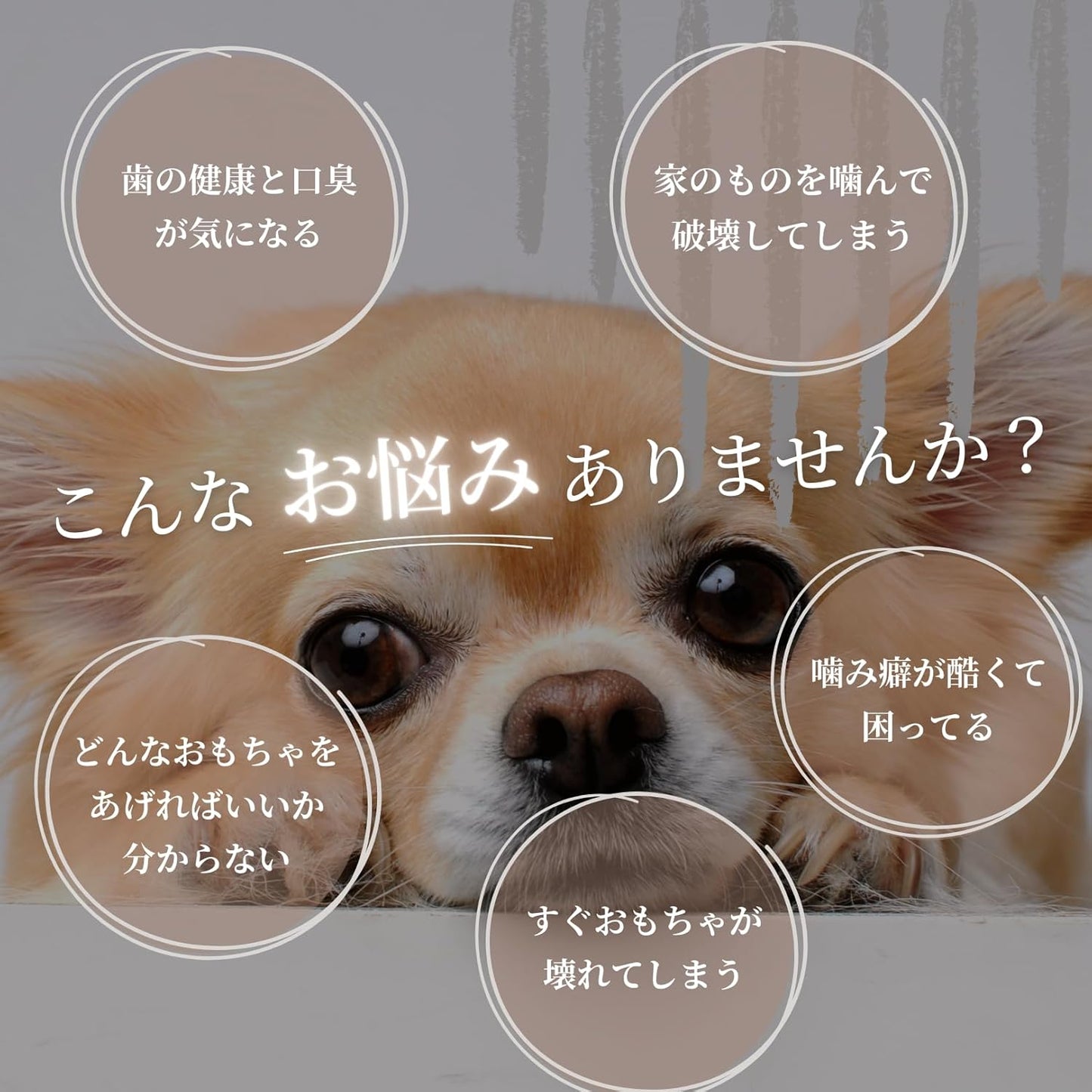 【犬用：4つ割り】エゾ鹿の角ガム ４つ割り×2本セット 小型犬用 手作り天然無添加